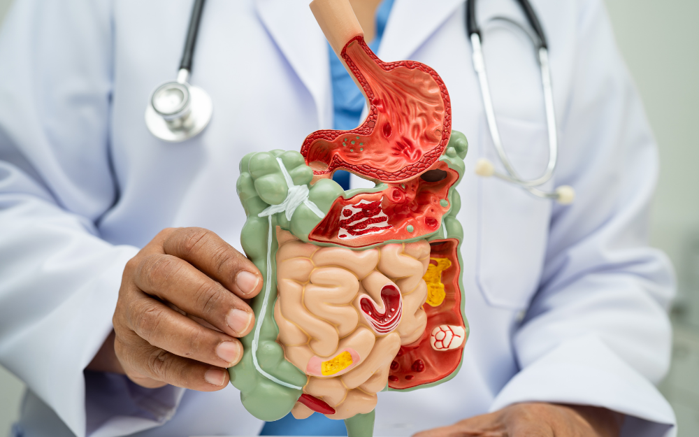 Gastrointestinal Health